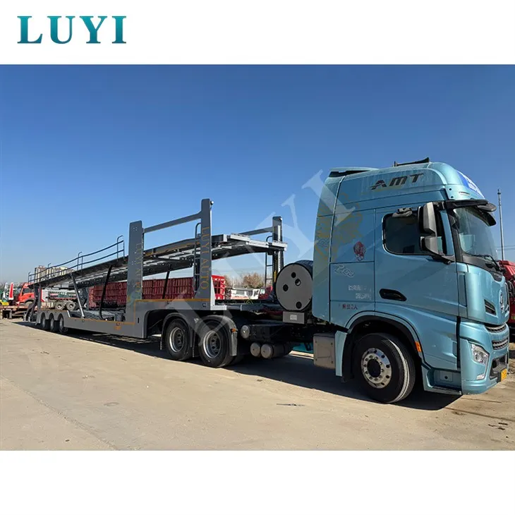 Proċess tal-Igalvanizzazzjoni li jġorr 8 Semi Karrijiet tat-Trasport tal-Karozzi